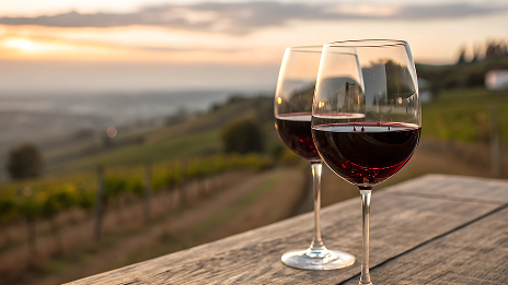 Dos copas con vino tinto sobre una mesa de madera en plena naturaleza.